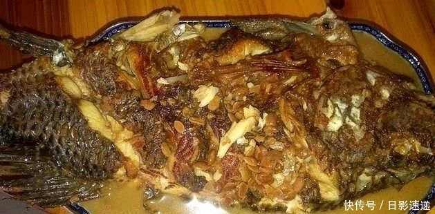  罗非鱼|老表去塘里抓了一条大罗非鱼，然后这样做，鱼肉鲜嫩又入味