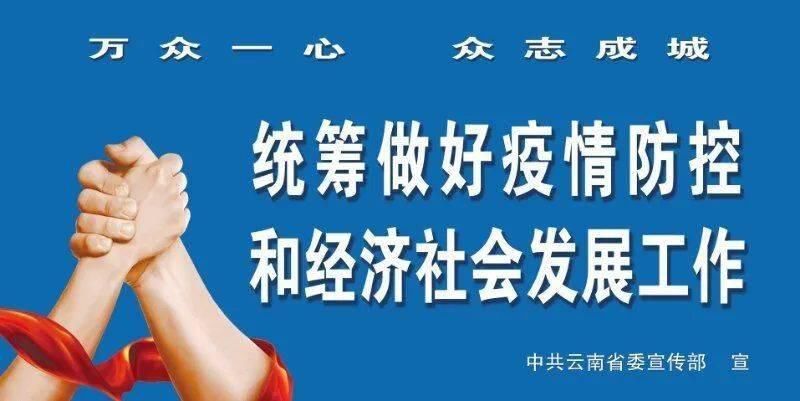 涉牌|江城县集中销毁涉牌涉证报废车辆