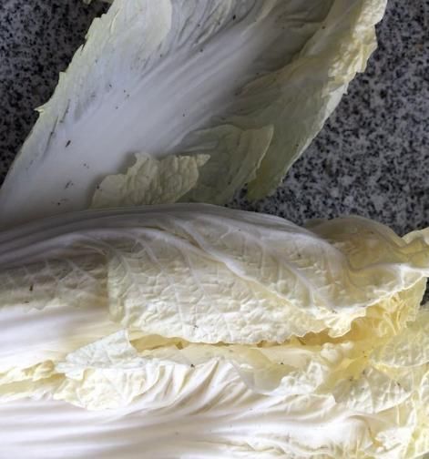黑点|白菜上的黑点是什么?有黑点的白菜还能吃吗?今天一次性说清楚