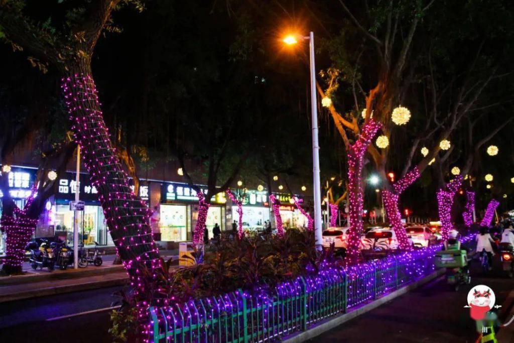 鼓西路|福州最美环湖夜市来啦！灯光秀、鲜花美食，一路逛吃逛吃！