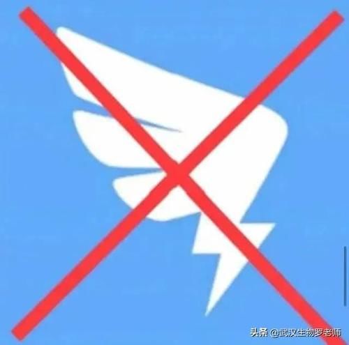 坐班|中小学教师有必要坐班吗?为什么?