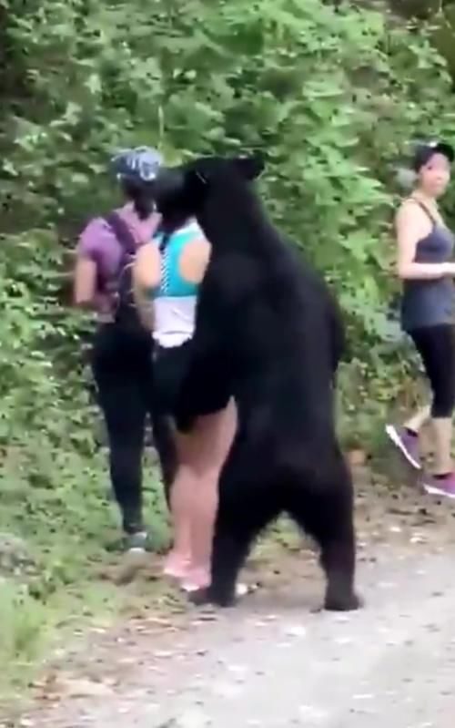  身高|惊魂时刻！墨西哥一女子被等身高的黑熊尾随“亲近”，竟淡定掏出手机自拍