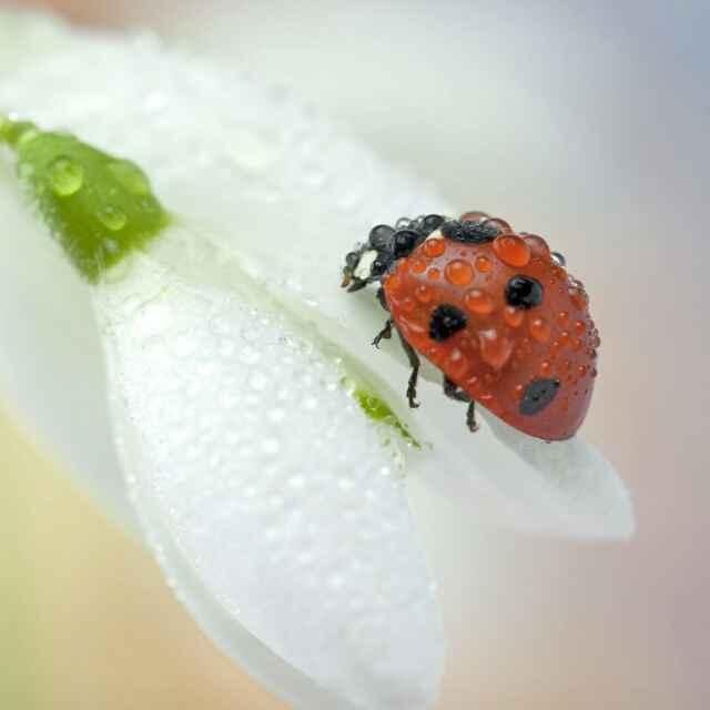 王一博|《这就是街舞》第三季第二期中王一博的表现