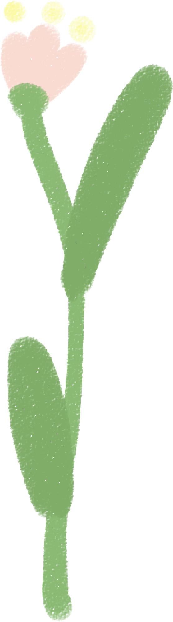 师大人|亲,好久不见