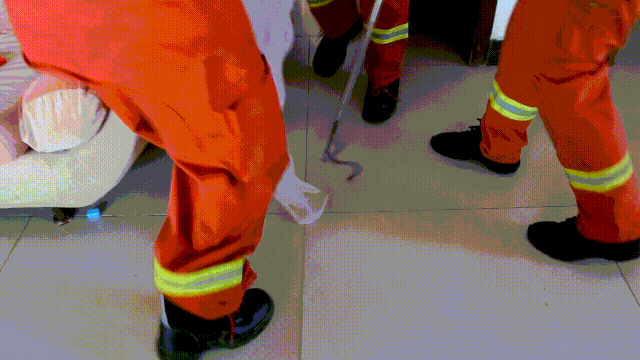  朋友|夏季【蛇】出没丨看“蓝朋友”如何将其治服