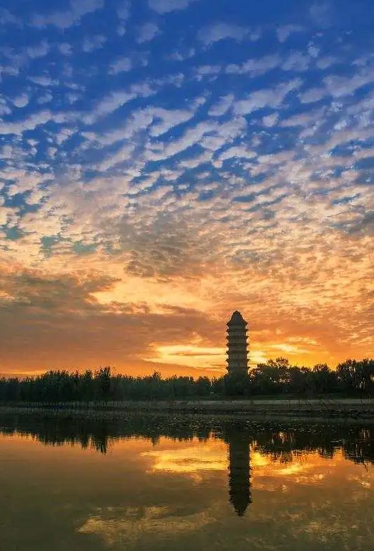 家乡|临清，我们一起美起来！