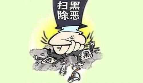  主犯|桐柏公安打掉的白某某恶势力犯罪集团主犯被判13年罚金45万