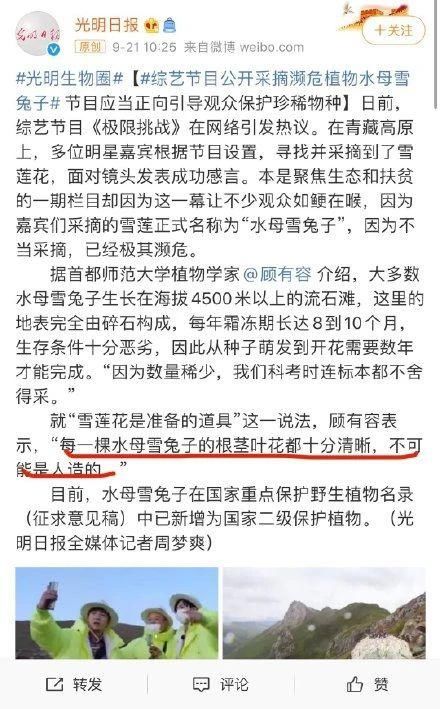  挑战|《极限挑战》采摘国家二级珍稀植物，惹怒14亿人：节目的底线在哪里？