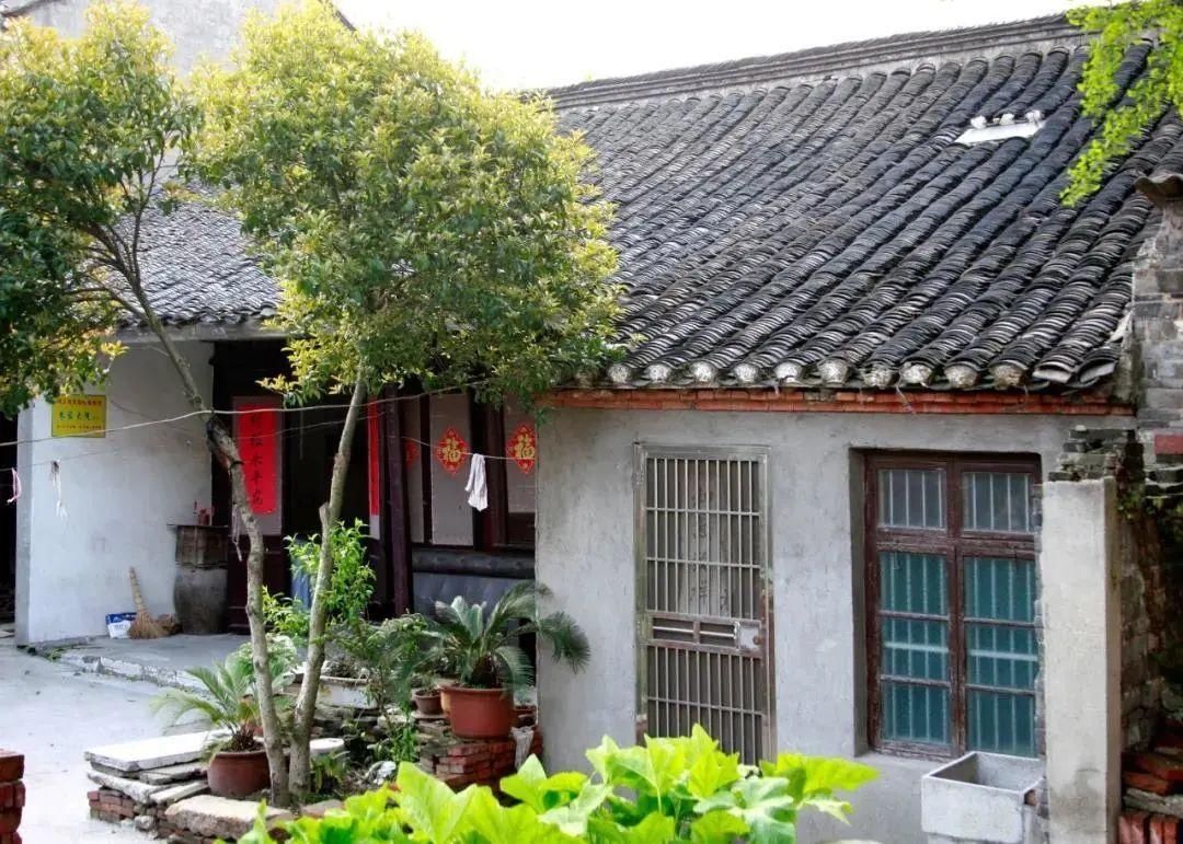  古镇|康养泰州｜寻一处清幽古镇，享一夏静美时光