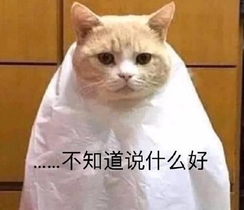 丁太|丁太昇嘲讽刘维综艺混子 李佳航犀利反击 乐评人遭全网嘲讽