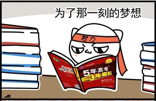  张子枫|《向往的生活》原来是学习综艺！张子枫同款备考法，顺利拿会计证