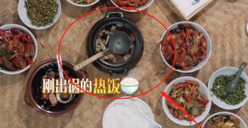 十全大补|《向往4》陈赫夸十全大补汤好吃!看清桌上剩菜,网友:别装了!
