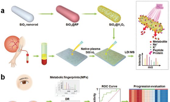  糖尿病|仁济团队新成果：糖尿病视网膜病变可通过血液检测早发现