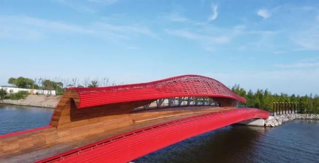  网红|【探索】滴水湖4座“网红”景观桥亮灯啦！快来先睹为快