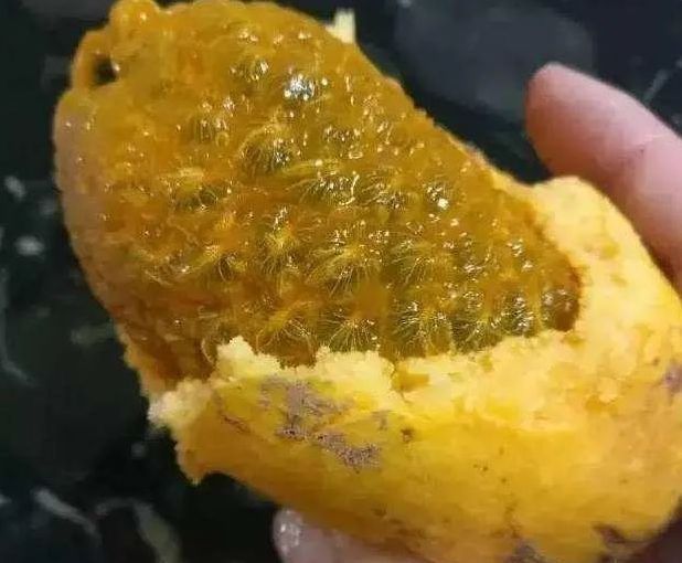 吃起来|假如给你100万,5种“水果”以后只能选一种吃,你选谁