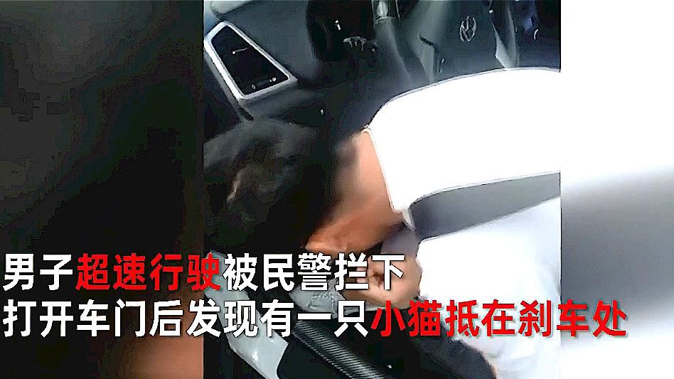  超速|男子超速被拦停，打开车门交警无语，你这是“猫刹”？