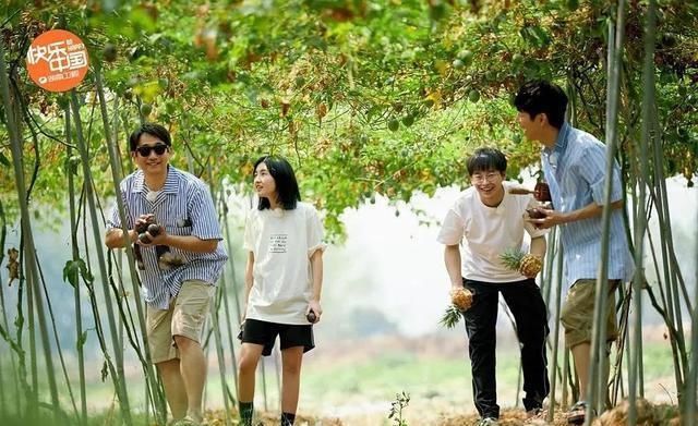  巅峰|不断被贬低的《向往4》，恰恰是这一综艺的巅峰