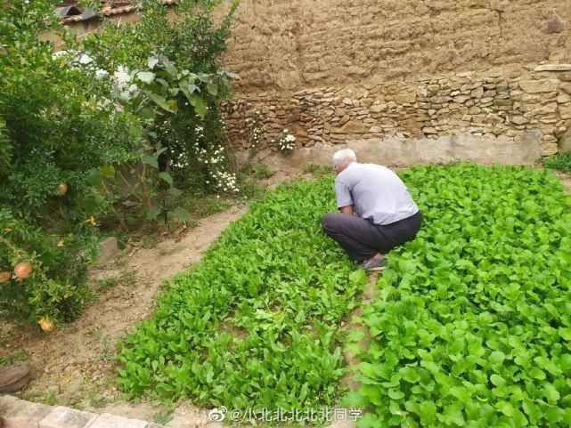 家乡|漂泊千里万里，走不出一口家乡味