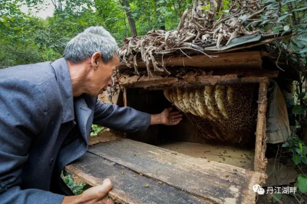 淅川|淅川脱贫档案解密:贾小民的脱贫之路