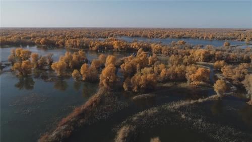  轮台县|新疆轮台县生态搬迁：塔河沿岸绿了，新居村民富了