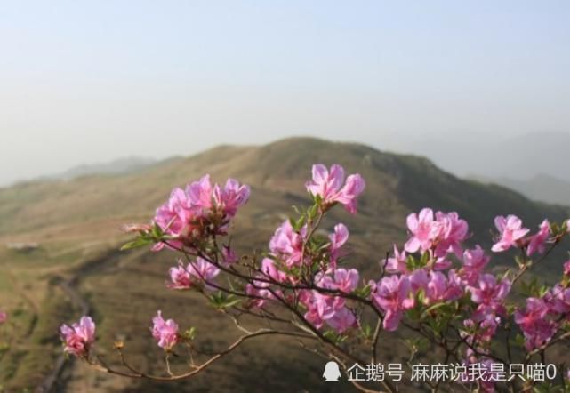  财富|八月开始，幸运多多，天降财富，运势飙升的生肖