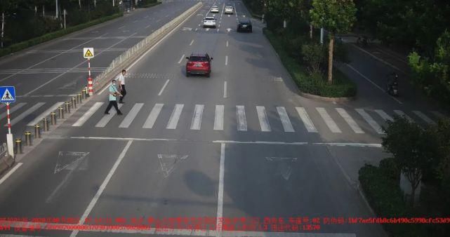 泰安|鲁JM2**3、鲁JJ0**7、鲁J62**N……泰安这15辆车被曝光!