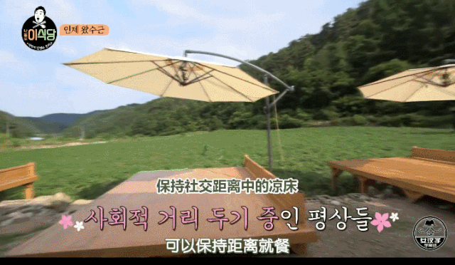  今夏|开播9.6，今夏续命就看它了