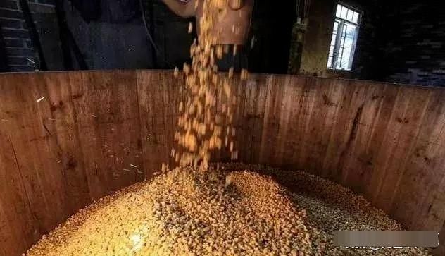 粮食酿造|不管哪个牌子的白酒,一旦瓶子上写着“这几个字”,酒精酒无疑了