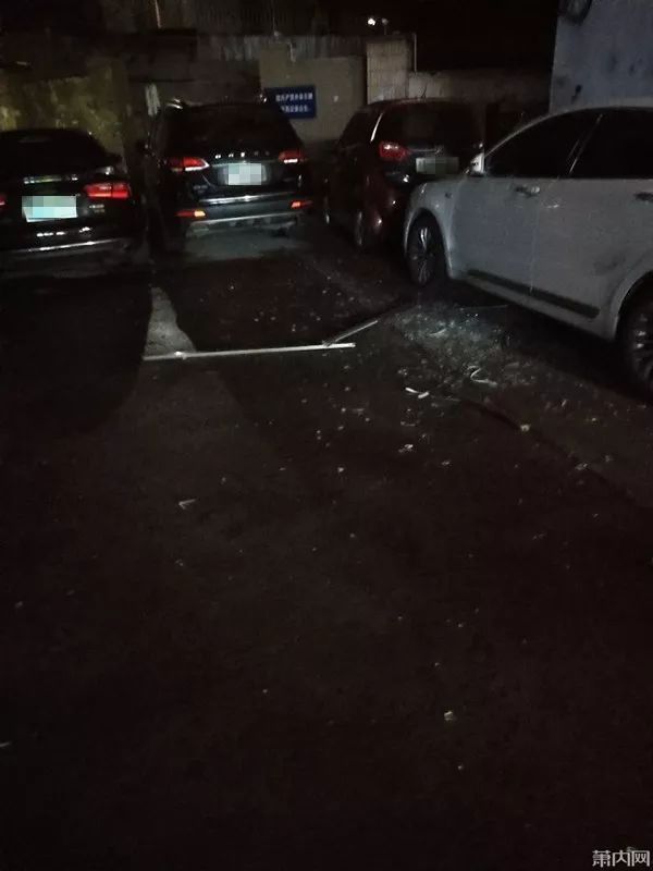  哆嗦|夜里发生的一幕! 小伙路过一看, 心里一阵哆嗦