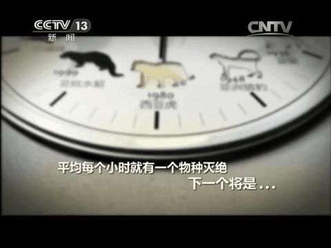  警方|强烈警示！泸州又有10多人涉嫌犯罪……警方已放生上千尾河鱼