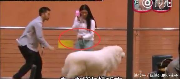  日本|日本综艺，奇奇怪怪