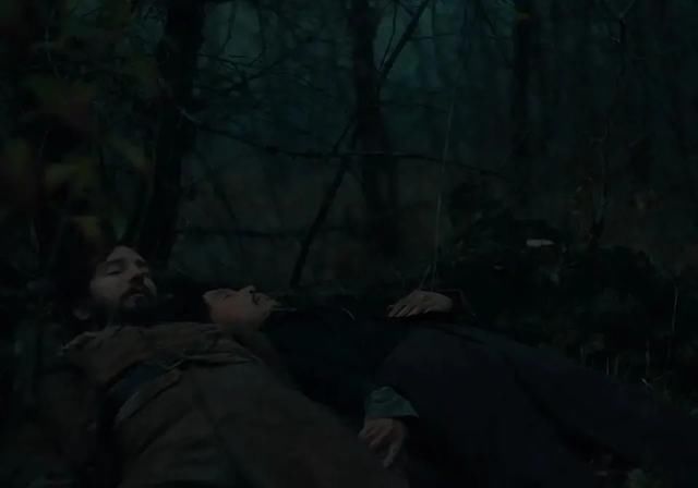 口碑|今年口碑最好的新片,是一个温柔的荒蛮故事