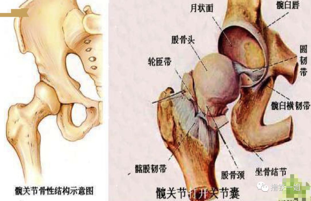  训练|赵丽颖身材都练得这么好了，还有网友喷她是奚梦瑶同款扁平臀？！