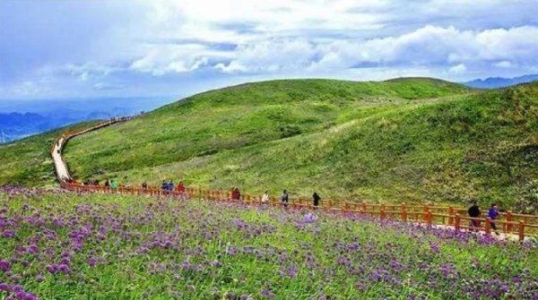  线路|景区升级、门票优惠、精品旅游线路多 毕节市来渝举行旅游推介会