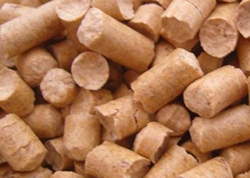 膨润土猫砂|【个人养宠经验分享】竹猫砂要怎么使用？竹猫砂小猫可以用吗