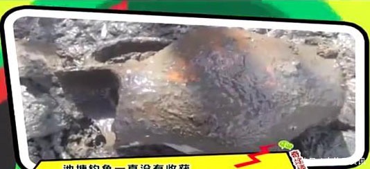  家门口|男子抽干家门口的池塘，准备捞鱼，结果发现惊人财富！