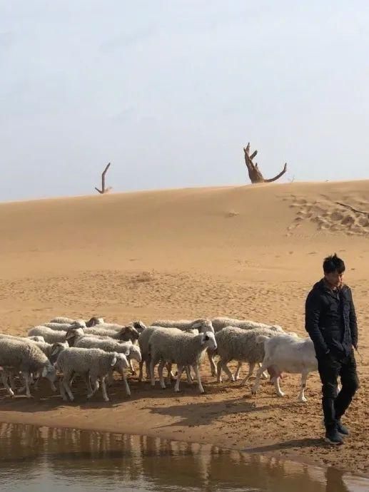  打算|资生堂这是打算和黄轩同归于尽？？？