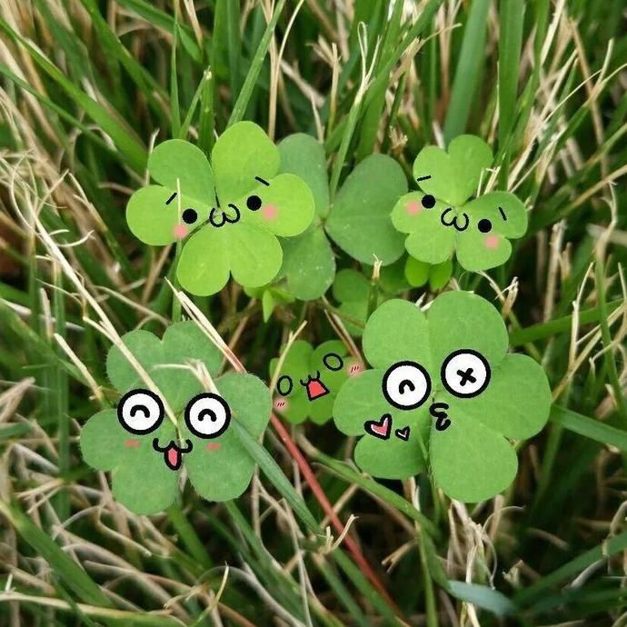 变异|这花被人工培育了，叶子变异后，可以这么美！