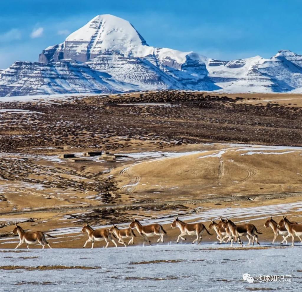  大事|最近，西藏有件大事