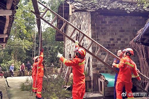  消防|四棵树倒下砸中房屋，7旬老人担忧房屋被压垮，花垣消防锯树排险