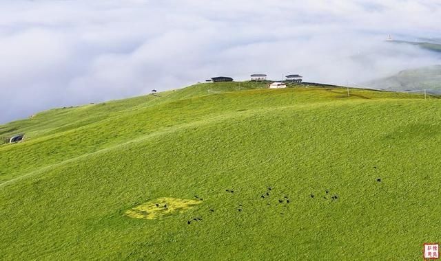  遗落|神山净土、秘境阿坝，上天遗落在人间的小天堂