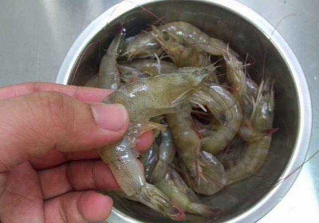 家人|去市场买虾时,这3种白给也不要!为了家人健康,以后别再买错了