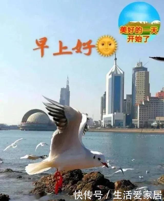 愿你|历经了风吹雨打,只盼在坎坷路上,能有一颗心相随,早安