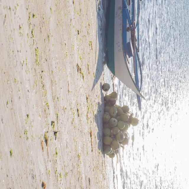  shui|陈燕：光不度，shui水成文