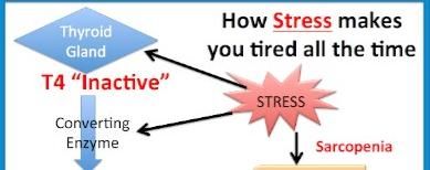 或许|甲减、甲亢病越来越多的人发病，压力或许才是罪魁祸首