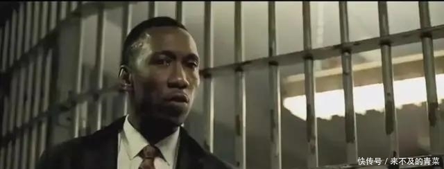  罗马帝国|意大利裔在美国究竟是怎样的魔鬼？