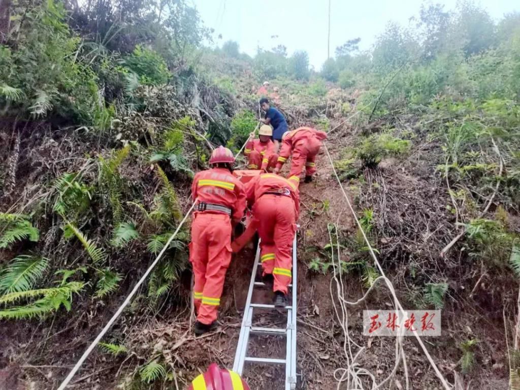  滚落|从山上滚落10多米！维修工人从4米高的光缆上摔下，手臂骨折