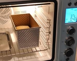 吐司|波兰种全麦吐司(椰子油版)