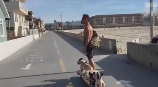  狗狗|男主用滑板车拉六只狗狗，狗狗淡定坐滑板车，萌爆了！