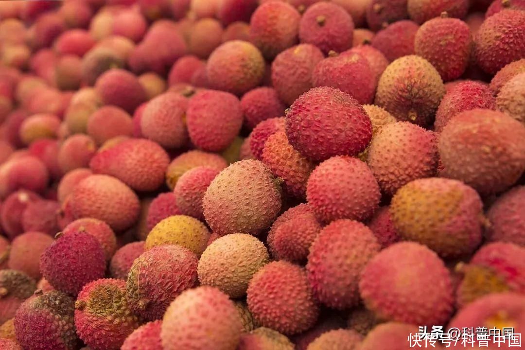 吃反季节水果的危害(这种夏季常见水果，吃多了小心“中毒”，严重可致死！)